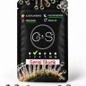 Sensi Skunk