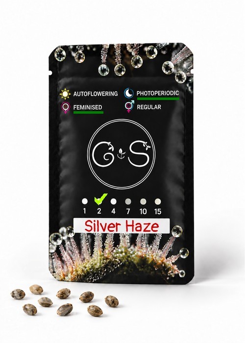 Семена конопли  Silver Haze feminised Ganja Seeds