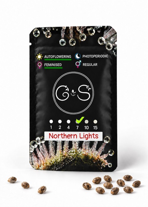 Семена ганжа  Auto Northern Lights feminised Ganja Seeds