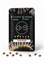 Somango feminised Ganja Seeds