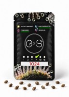 1024 feminised Ganja Seeds