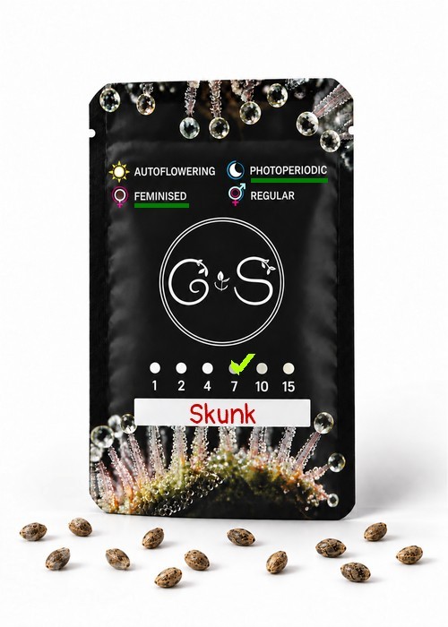 Семена марихуаны  Skunk feminised Ganja Seeds