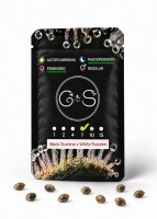 Black Domina x White Russian feminised Ganja Seeds