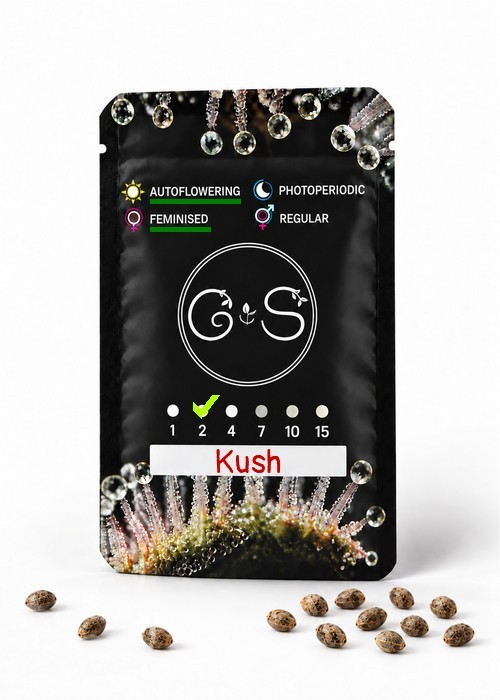 Семена ганжа  Auto Kush feminised Ganja Seeds