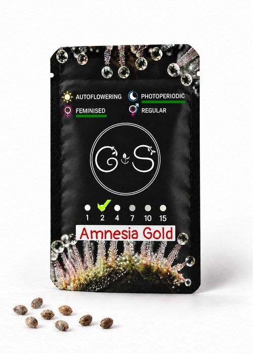 Семена марихуаны  Amnesia Gold feminised Ganja Seeds
