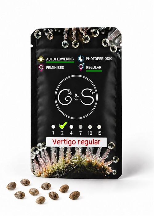 Семена  Auto Vertigo regular Ganja Seeds