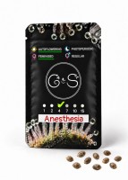 Auto Anesthesia feminised Ganja Seeds