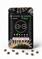 Jack Herer regular Ganja Seeds