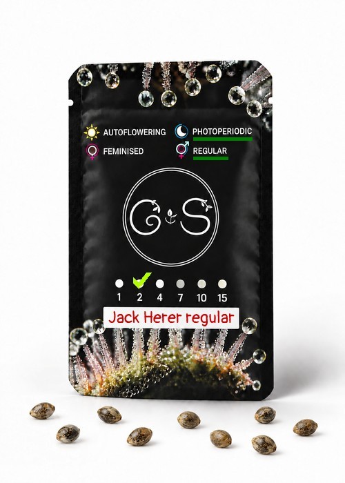Семена  Jack Herer regular Ganja Seeds