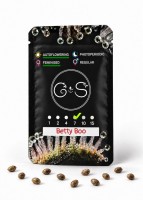 Auto Betty Boo feminised Ganja Seeds
