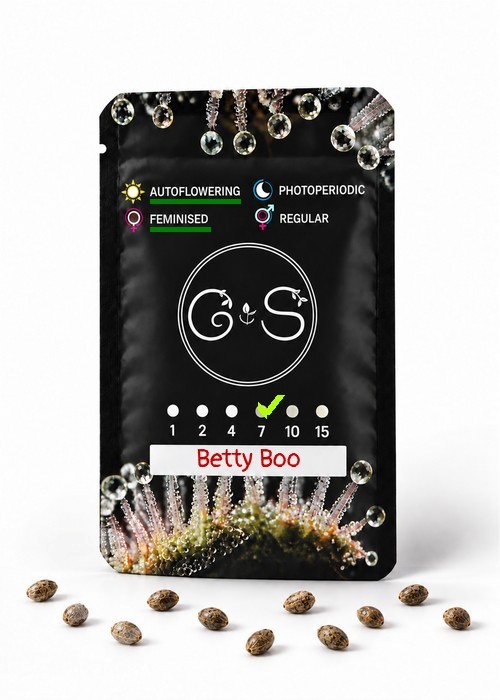 Семена ганжа  Auto Betty Boo feminised Ganja Seeds