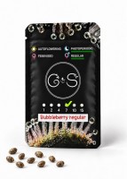 Bubbleberry regular Ganja Seeds