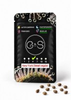 New York Diesel regular Ganja Seeds