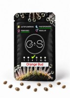 Orange Bud feminised Ganja Seeds