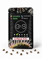 Auto Critical XXL feminised Ganja Seeds