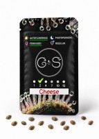 Auto Cheese feminised Ganja Seeds