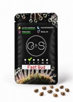 Auto Fast Bud feminised Ganja Seeds