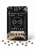 Auto Super Lemon Haze feminised Ganja Seeds