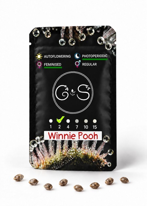 Семена ганжа  Winnie Pooh feminised Ganja Seeds