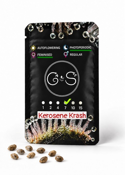 Семена  Kerosene Krash feminised Ganja Seeds