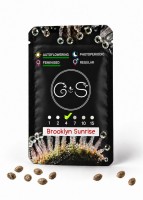 Auto Brooklyn Sunrise feminised Ganja Seeds