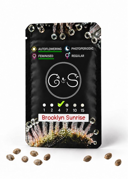 Семена  Auto Brooklyn Sunrise feminised Ganja Seeds