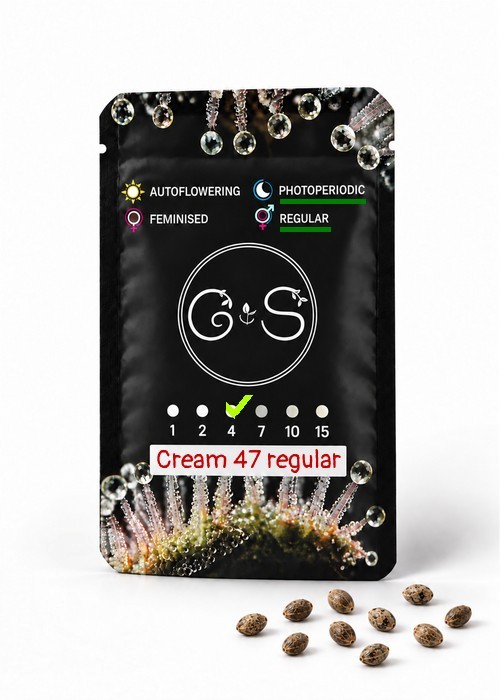 Семена  Cream 47 regular Ganja Seeds