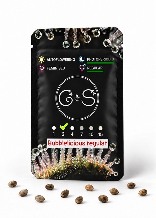 Семена ганжа  Bubblelicious regular Ganja Seeds