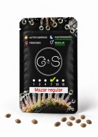 Mazar regular Ganja Seeds