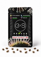 Black Domina x M8 feminised Ganja Seeds