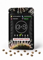 White Russian regular Ganja Seeds