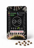 Auto Girl Scout Cookies feminised Ganja Seeds