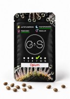 Opium feminised Ganja Seeds