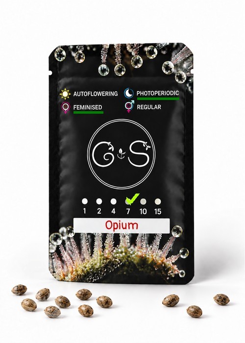 Семена марихуаны  Opium feminised Ganja Seeds