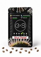 Blue Diesel feminised Ganja Seeds