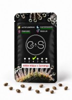 White Widow x Somango feminised Ganja Seeds