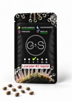 Auto Lowryder #2 regular Ganja Seeds