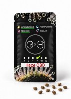 Auto Haze CBD feminised Ganja Seeds