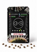 G13 Haze feminised Ganja Seeds