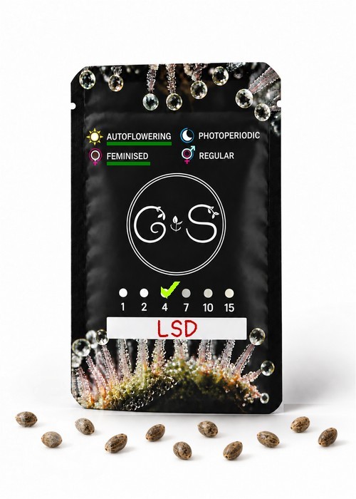 Семена конопли  Auto LSD feminised Ganja Seeds