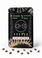 Auto Northern Lights regular Ganja Seeds
