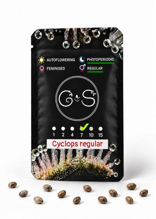 Семена марихуаны  Cyclops regular Ganja Seeds