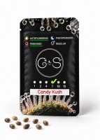 Auto Candy Kush feminised Ganja Seeds