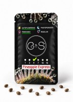 Auto Pineapple Express feminised Ganja Seeds