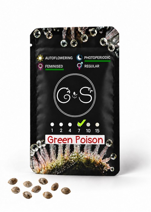 Green Poison feminised Ganja Seeds
