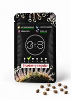 Auto Blueberry regular Ganja Seeds