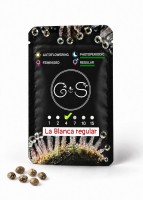 La Blanca regular Ganja Seeds