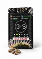 Blue Power feminised Ganja Seeds
