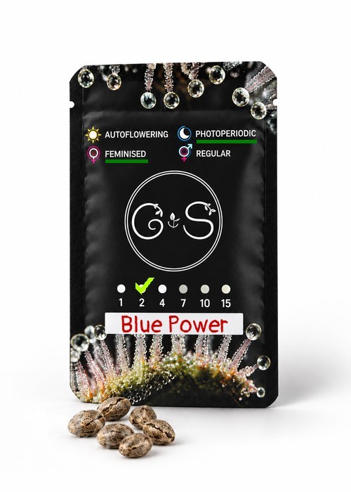 Blue Power feminised Ganja Seeds