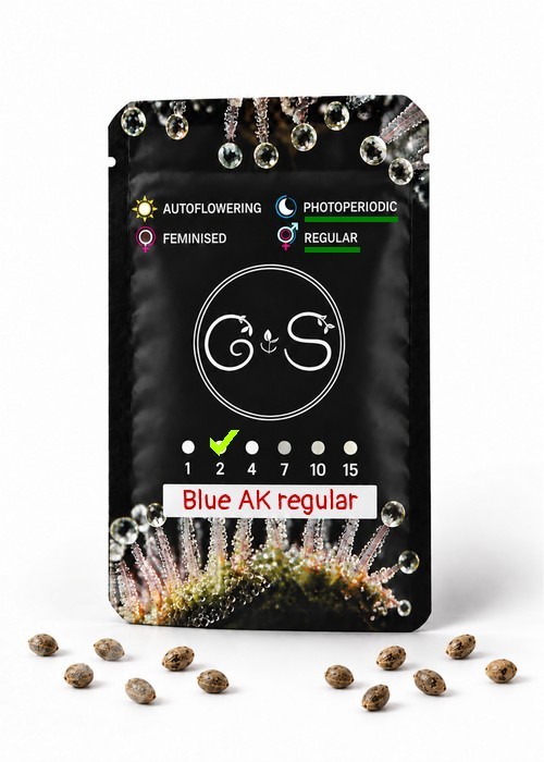 Семена конопли  Blue AK regular Ganja Seeds